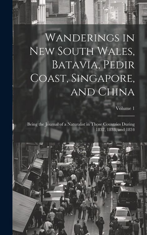 Produktbild: Wanderings in New South Wales, Batavia, Pedir Coast, Singapore, and China