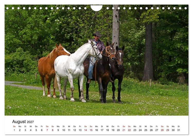 Produktbild: Getragen von Pferden, geformt vom Land - COWBOYS und Cowgirls (Wandkalender 2027 DIN A4 quer), CALVENDO Monatskalender