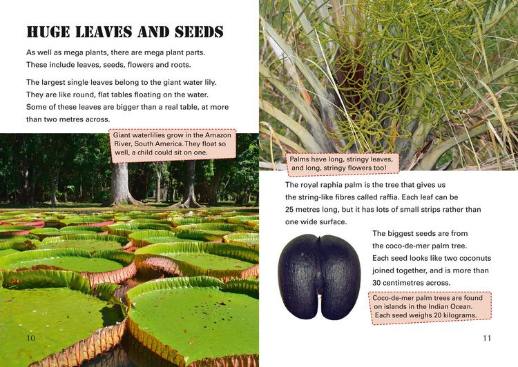 Produktbild: Mega Plants
