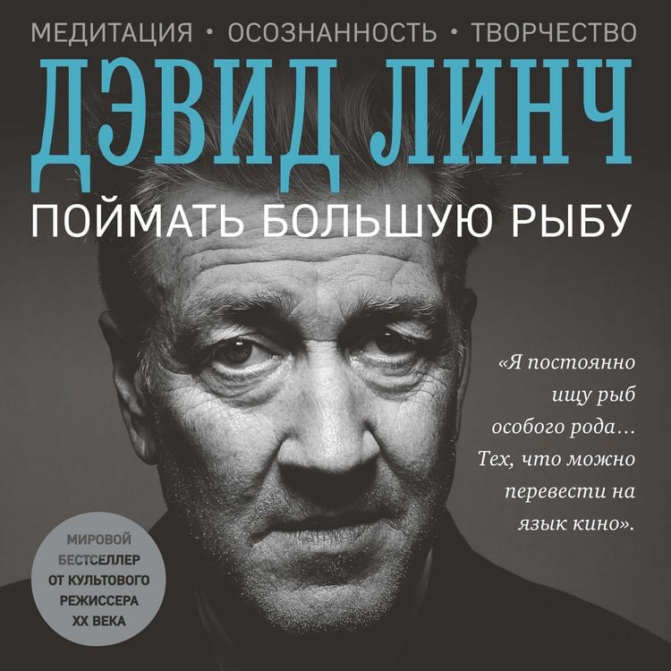 Produktbild: Catching the big fish: meditation, consciousness, and creativity