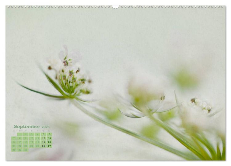 Produktbild: Zauberhafte Bl&uuml;ten (Wandkalender 2026 DIN A2 quer), CALVENDO Monatskalender