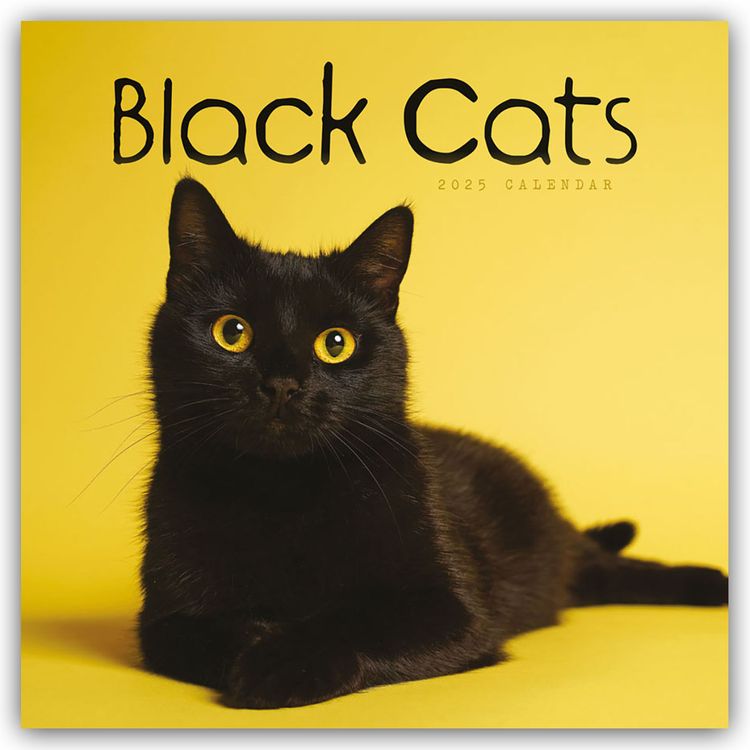 Produktbild: Black Cats – Schwarze Katzen 2025 – Wand-Kalender