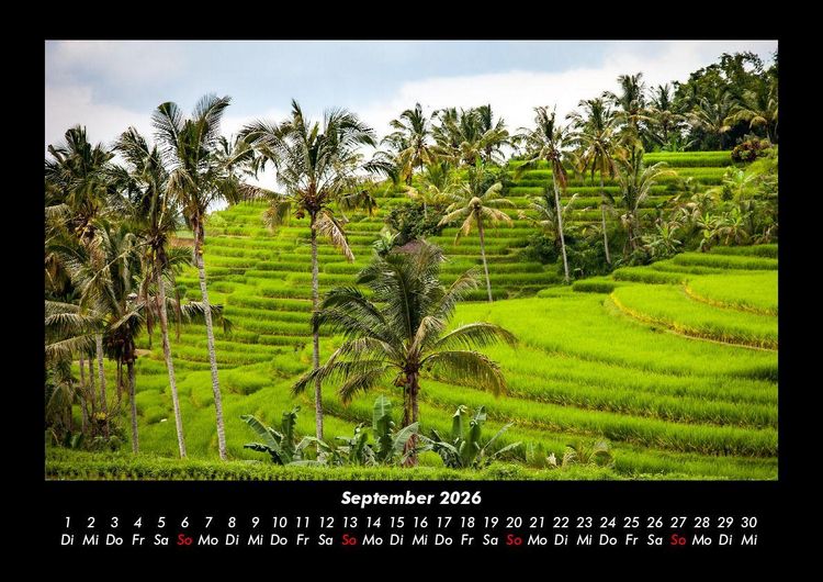 Produktbild: Palmen 2026 Fotokalender DIN A3