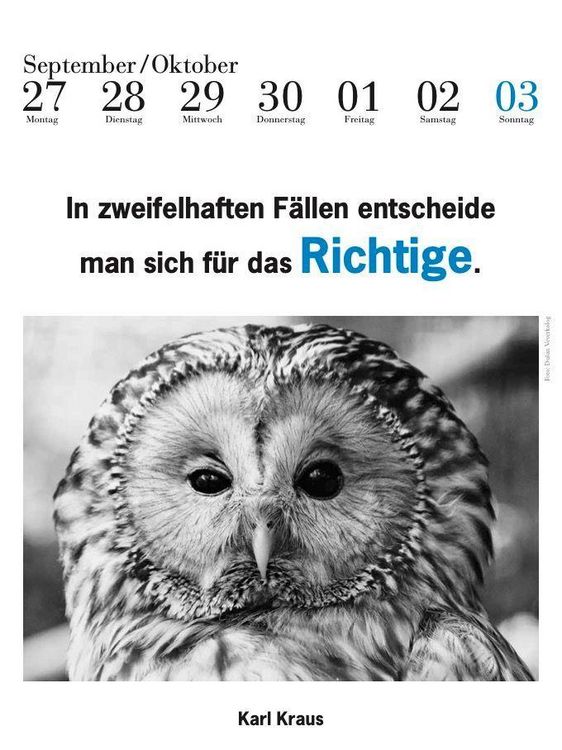 Produktbild: Der literarische Eulenkalender 2027