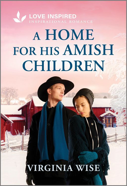 Produktbild: A Home for His Amish Children