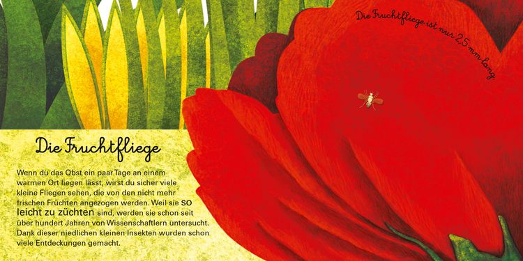 Produktbild: Das gro&szlig;e Buch der riesigen Tiere. Das kleine Buch der winzigen Tiere