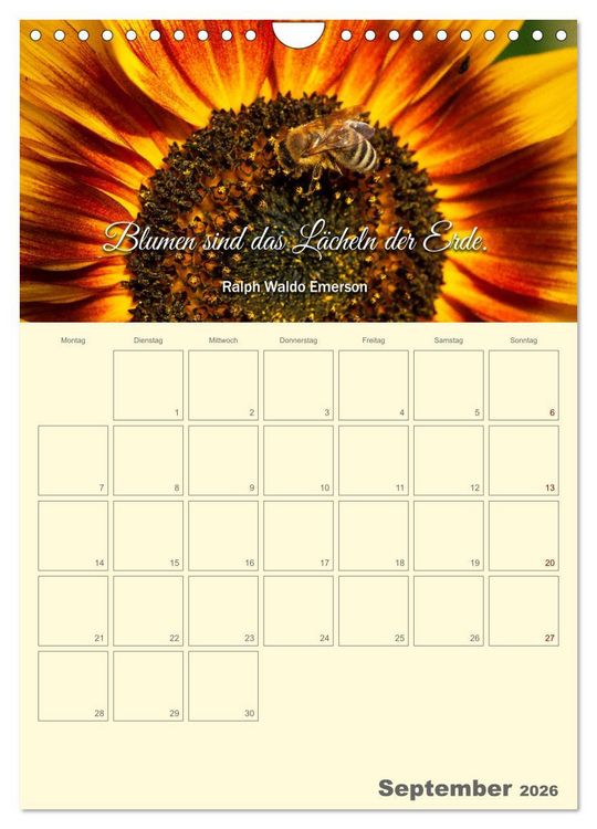 Produktbild: Gartenliebe (Wandkalender 2026 DIN A4 hoch), CALVENDO Monatskalender