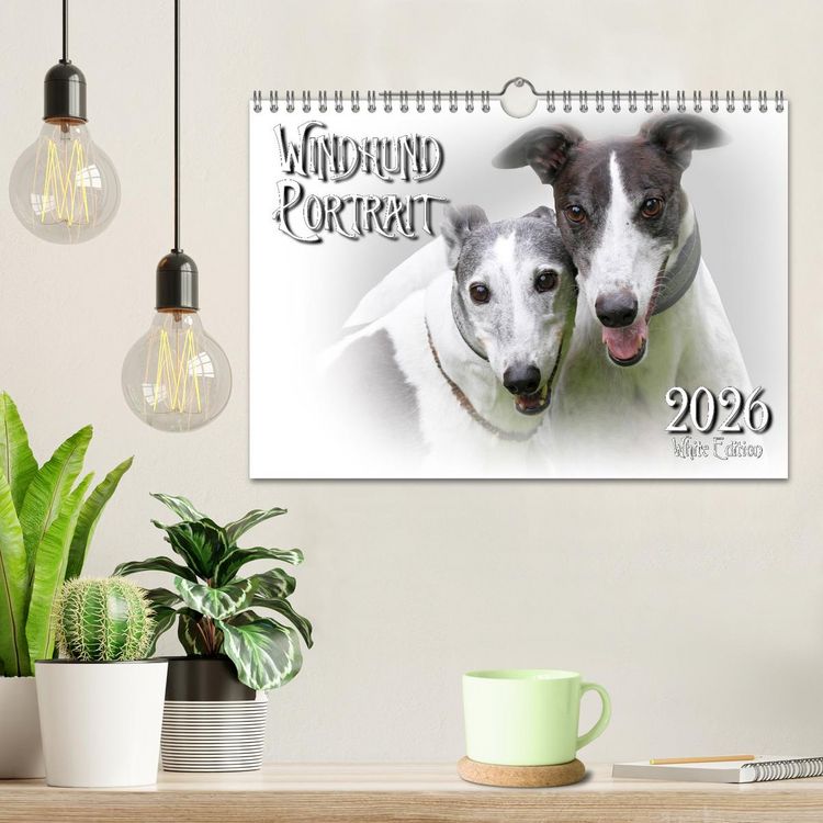 Produktbild: Windhund Portrait 2026 White Edition (Wandkalender 2026 DIN A4 quer), CALVENDO Monatskalender