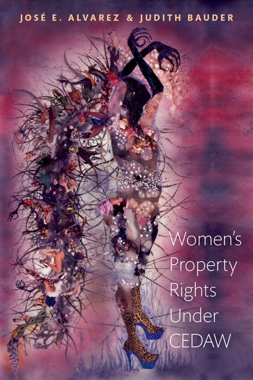 Produktbild: Women's Property Rights Under CEDAW