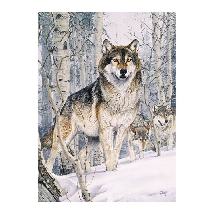 Produktbild: Cobble Hill Wolf im Winterwald 1000 Teile