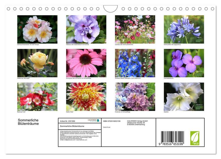 Produktbild: Sommerliche Bl&uuml;tentr&auml;ume (Wandkalender 2026 DIN A4 quer), CALVENDO Monatskalender
