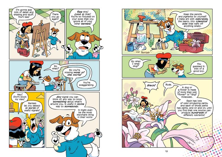 Produktbild: Science Comics: The Senses