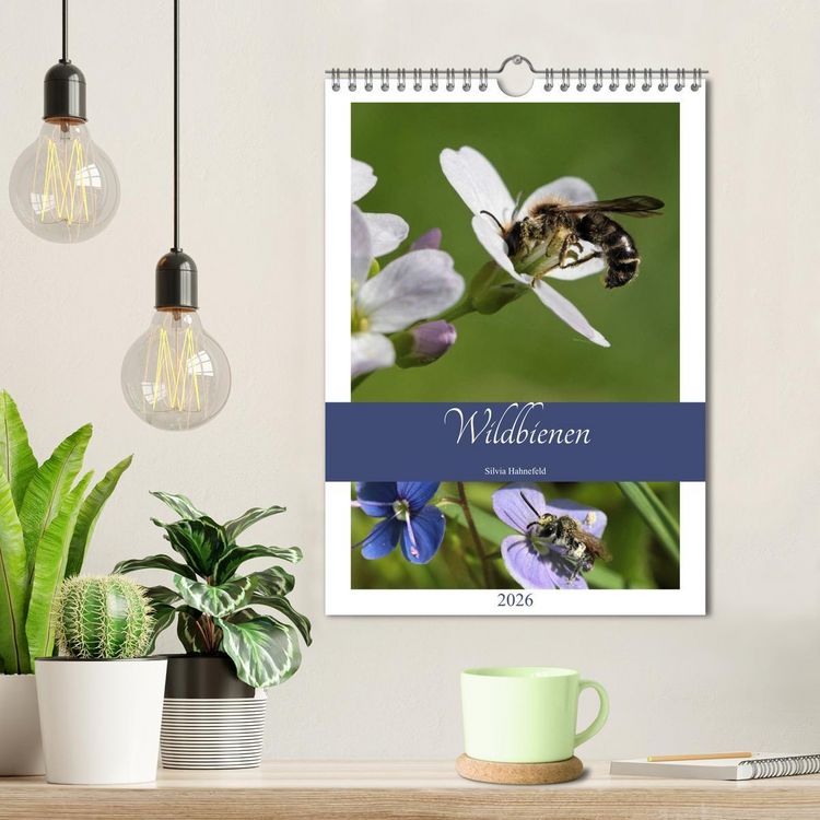 Produktbild: Wildbienen-Terminplaner 2026 (Wandkalender 2026 DIN A4 hoch), CALVENDO Monatskalender