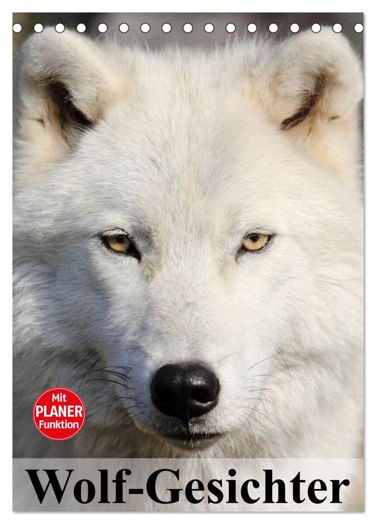 Produktbild: Wolf-Gesichter (Tischkalender 2026 DIN A5 hoch), CALVENDO Monatskalender
