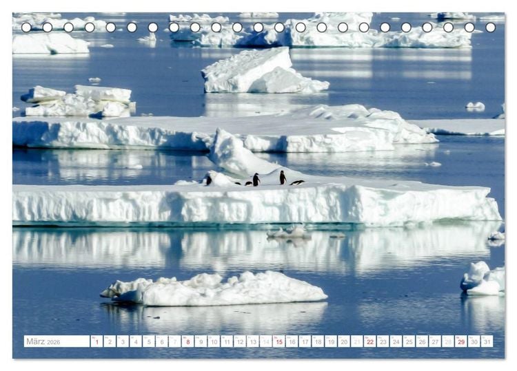 Produktbild: Antarktis - Das Reich der Pinguine (Tischkalender 2026 DIN A5 quer), CALVENDO Monatskalender