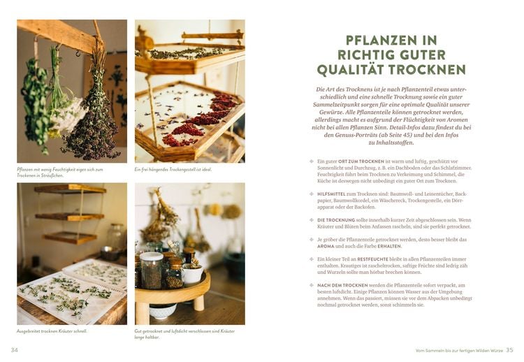 Produktbild: Wilde W&uuml;rze