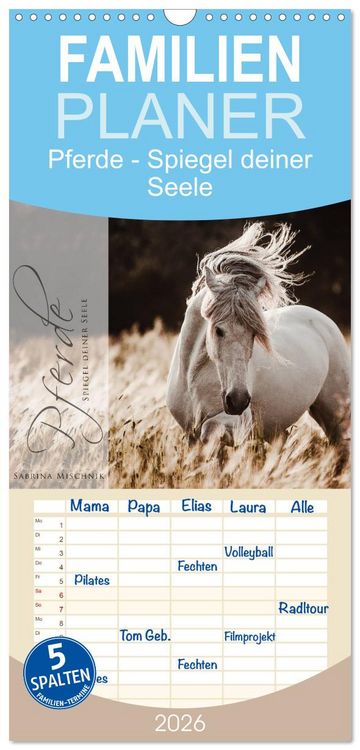 Produktbild: Familienplaner 2026 - Spiegel deiner Seele mit 5 Spalten (Wandkalender, 21 x 45 cm) CALVENDO