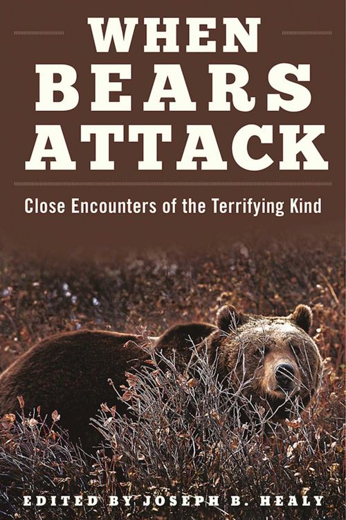 Produktbild: When Bears Attack