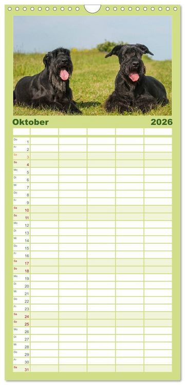Produktbild: Familienplaner 2026 - Treuer Freund Riesenschnauzer mit 5 Spalten (Wandkalender, 21 x 45 cm) CALVENDO