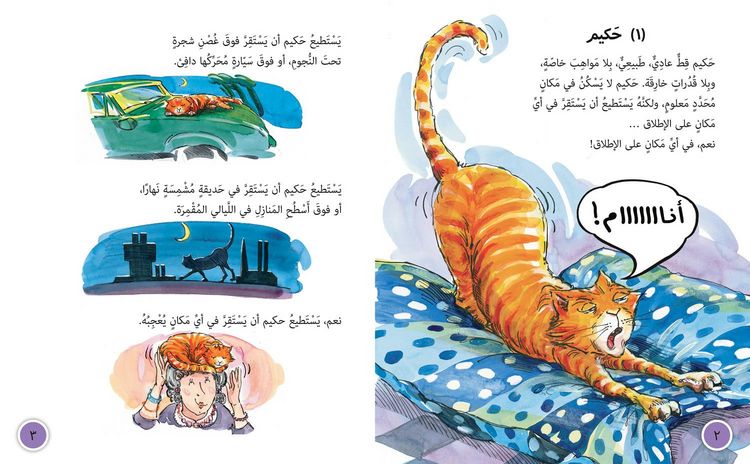 Produktbild: Big Cat Arabic - Hakims Tale