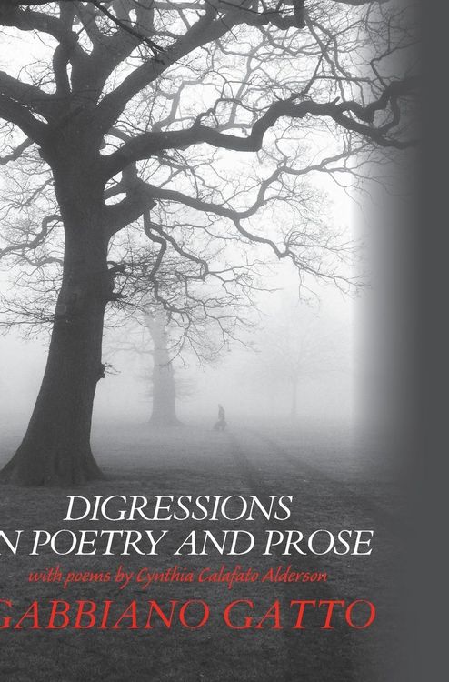 Produktbild: Digressions in Poetry and Prose