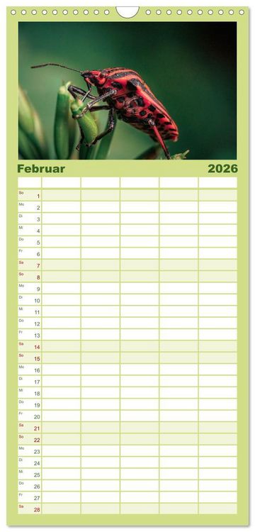 Produktbild: Familienplaner 2026 - Makrowelten Tierreich mit 5 Spalten (Wandkalender, 21 x 45 cm) CALVENDO