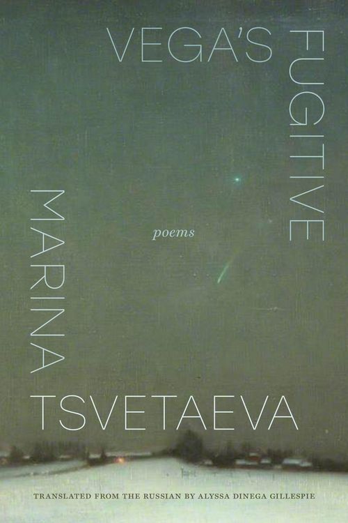 Produktbild: Vega's Fugitive