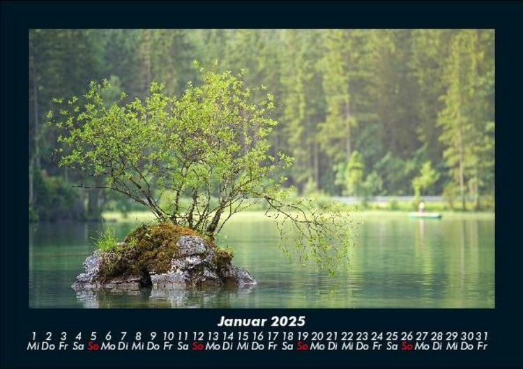 Produktbild: B&auml;ume 2025 Fotokalender DIN A5