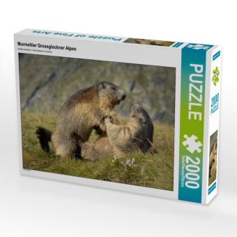Produktbild: CALVENDO Puzzle Raufbolde | 2000 Teile Lege-Gr&ouml;&szlig;e 90x67cm Foto-Puzzle f&uuml;r gl&uuml;ckliche Stunden