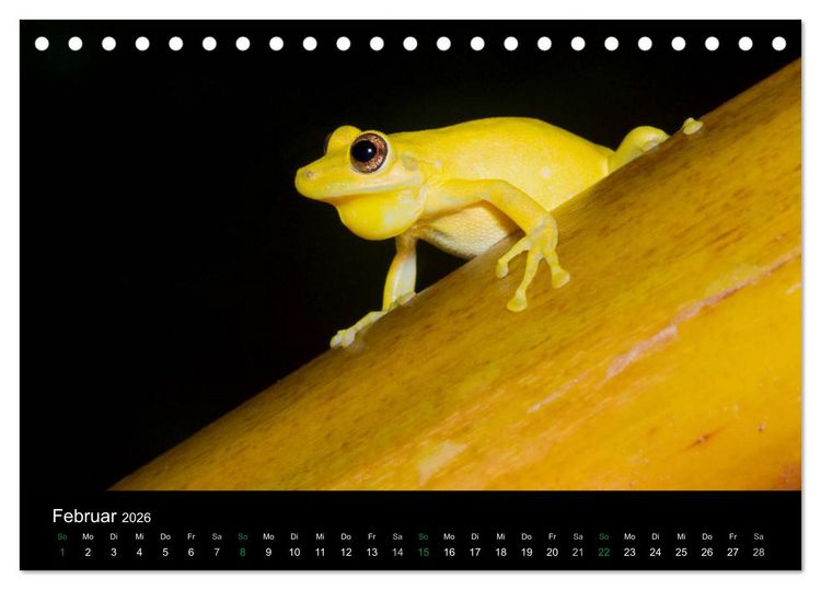 Produktbild: Costa Rica - Faszination Fr&ouml;sche (Tischkalender 2026 DIN A5 quer), CALVENDO Monatskalender