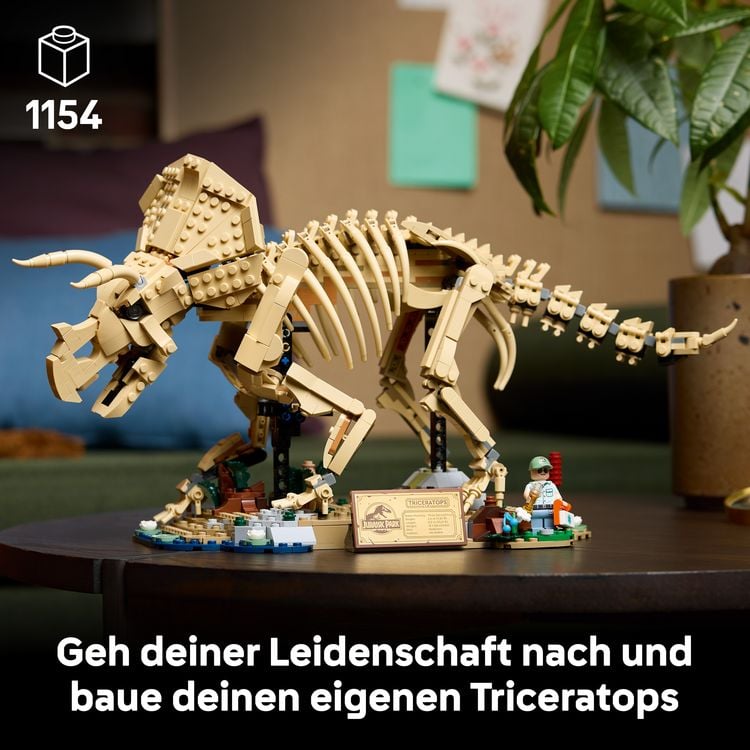 Produktbild: LEGO Jurassic World 77985 Dinosaurier-Fossilien: Triceratops, Modellbau
