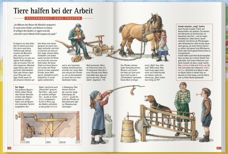 Produktbild: Was brummt da auf dem Bauernhof? Aktualisierte und erweiterte Neuauflage