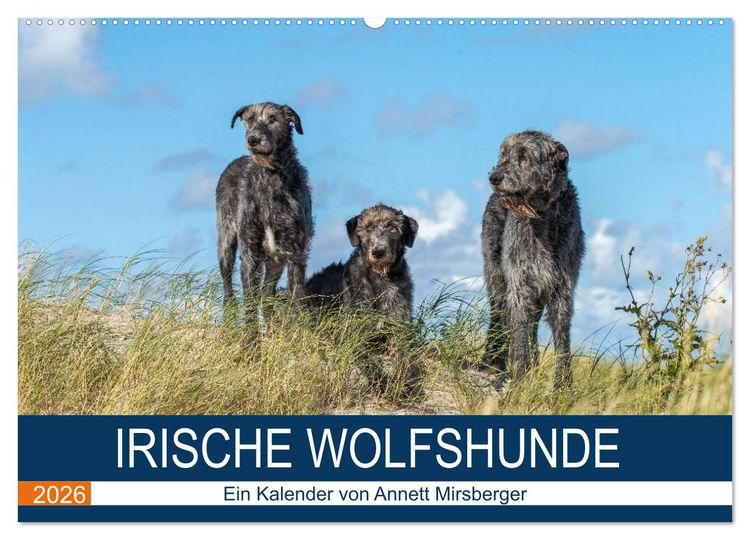Produktbild: Irische Wolfshunde (Wandkalender 2026 DIN A2 quer), CALVENDO Monatskalender