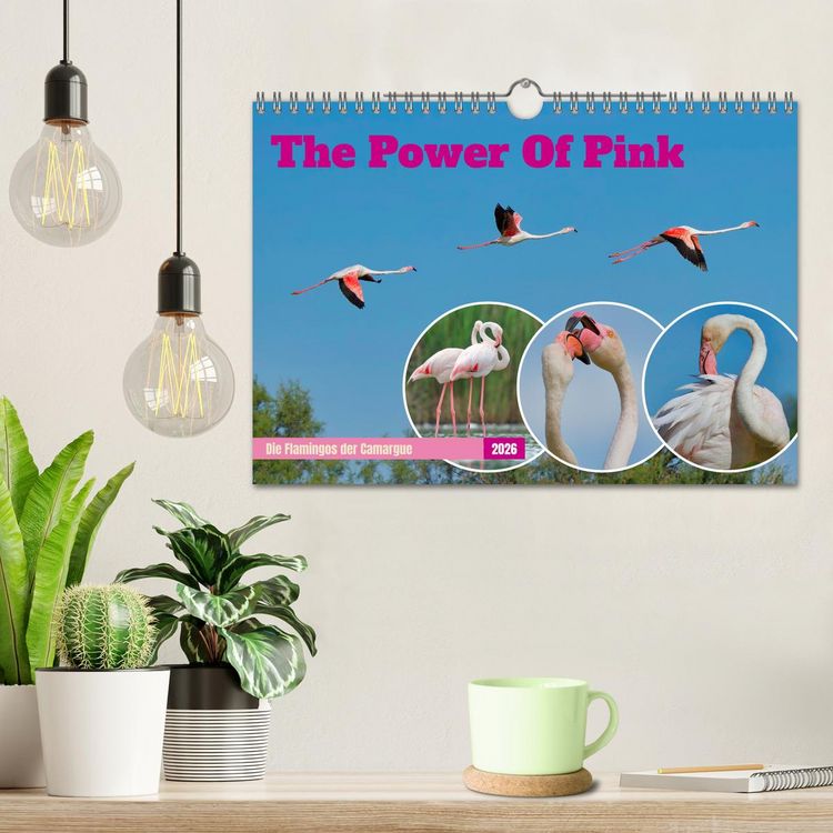 Produktbild: The Power Of Pink (Wandkalender 2026 DIN A4 quer), CALVENDO Monatskalender