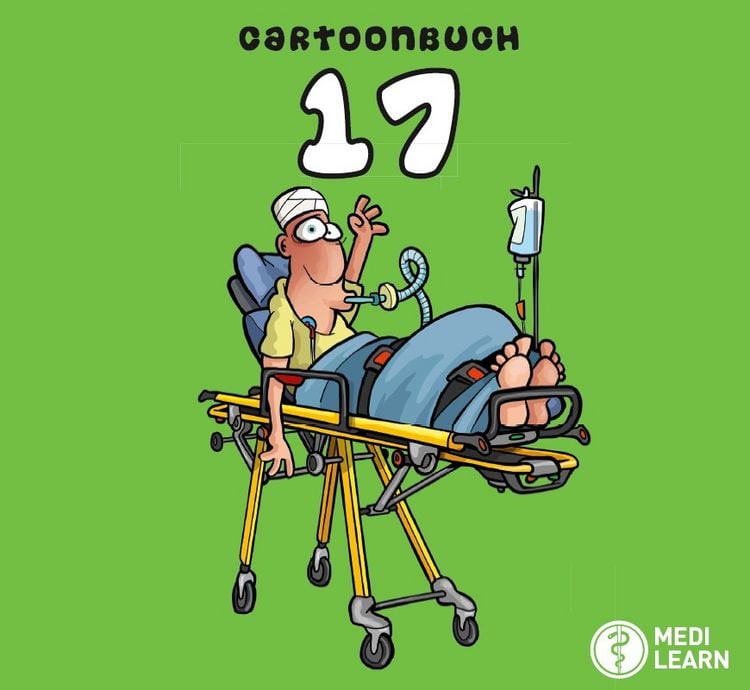 Produktbild: Cartoonbuch 17