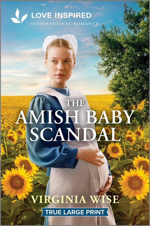 Produktbild: The Amish Baby Scandal