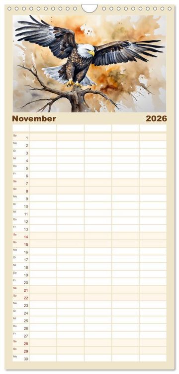 Produktbild: Familienplaner 2026 - Wei&szlig;kopfseeadler - Majest&auml;tische V&ouml;gel mit 5 Spalten (Wandkalender, 21 x 45 cm) CALVENDO
