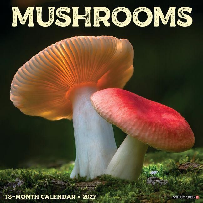 Produktbild: Mushrooms 2027 12 X 12 Wall Calendar