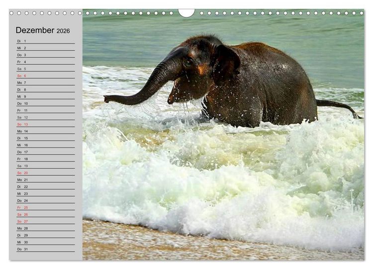 Produktbild: Elefanten. Spa&szlig; am Wasser (Wandkalender 2026 DIN A3 quer), CALVENDO Monatskalender