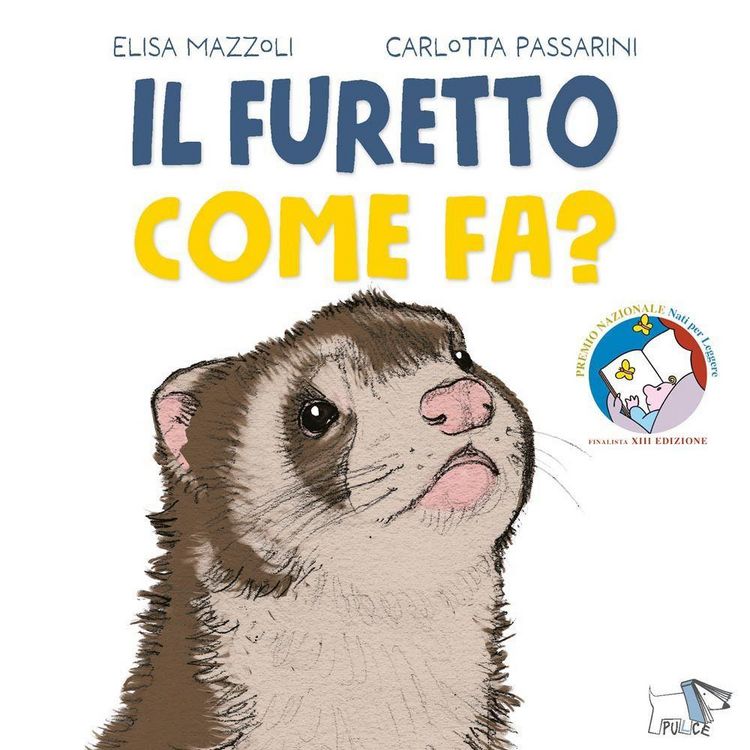 Produktbild: Il furetto come fa?
