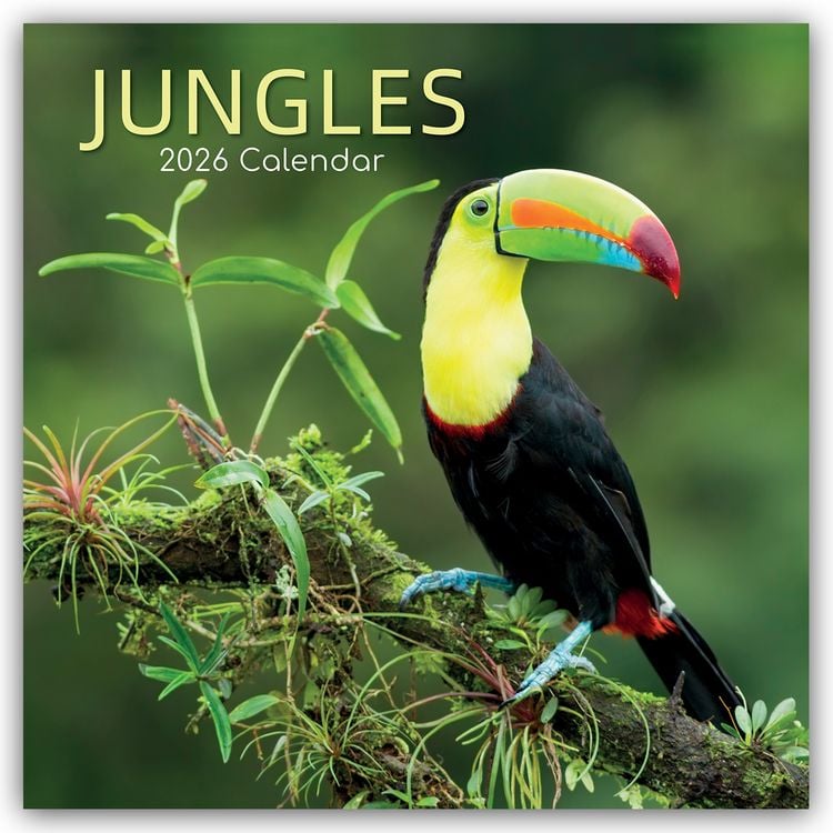 Produktbild: Jungles – Dschungel 2026 – 16-Monatskalender
