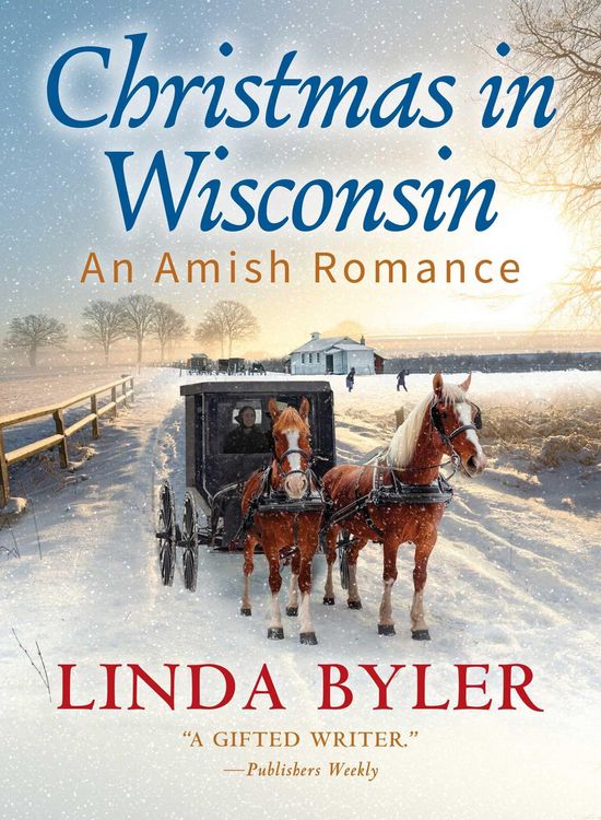 Produktbild: Christmas in Wisconsin