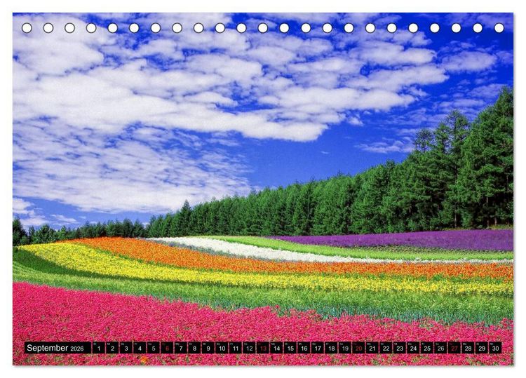 Produktbild: Landschaften im Farbrausch (Tischkalender 2026 DIN A5 quer), CALVENDO Monatskalender