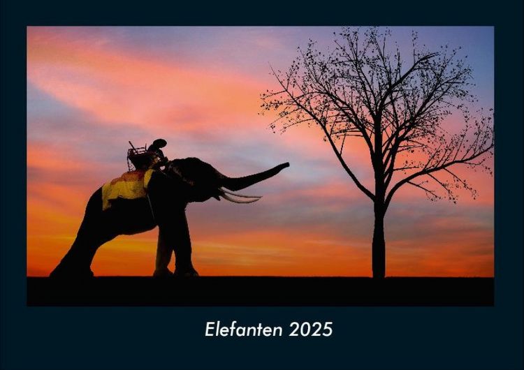 Produktbild: Elefanten 2025 Fotokalender DIN A4