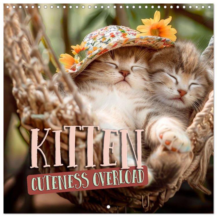 Produktbild: KITTEN Cuteness overload (Wall Calendar 2026 12 &times; 12 Inch) CALVENDO 12 Month Wall Calendar