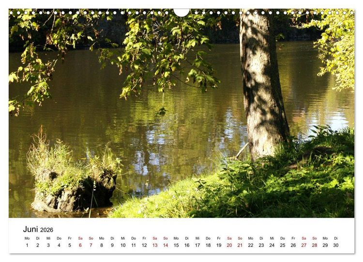 Produktbild: Waldheim (Wandkalender 2026 DIN A3 quer), CALVENDO Monatskalender