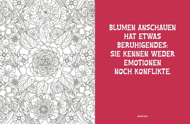 Produktbild: Colorful Mandala &ndash; Botanischer Garten