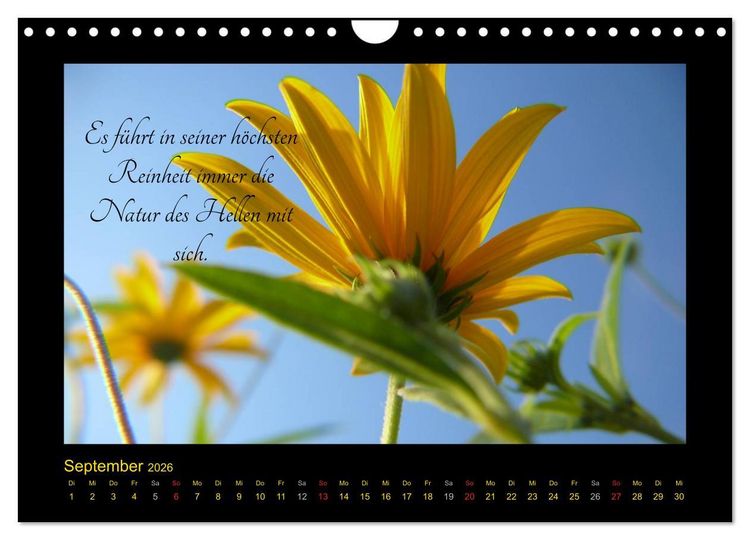 Produktbild: Goethes Gelb Gedanken zur Farbe (Wandkalender 2026 DIN A4 quer), CALVENDO Monatskalender