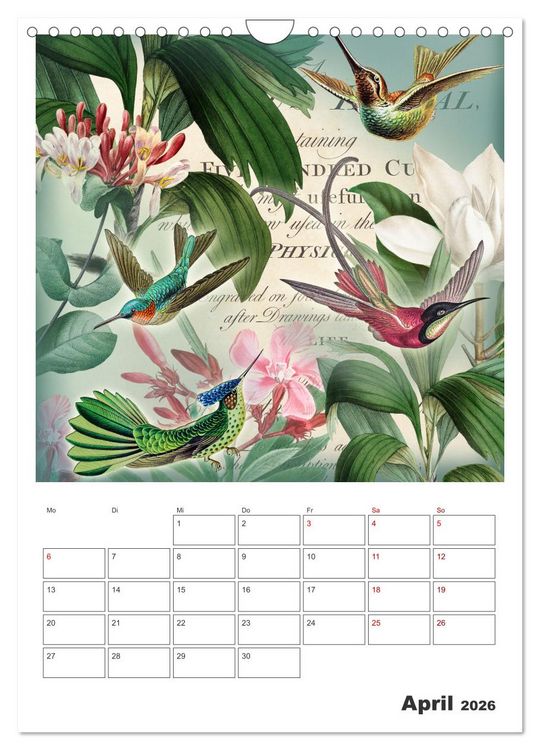 Produktbild: Das Paradies der Kolibris (Wandkalender 2026 DIN A4 hoch), CALVENDO Monatskalender