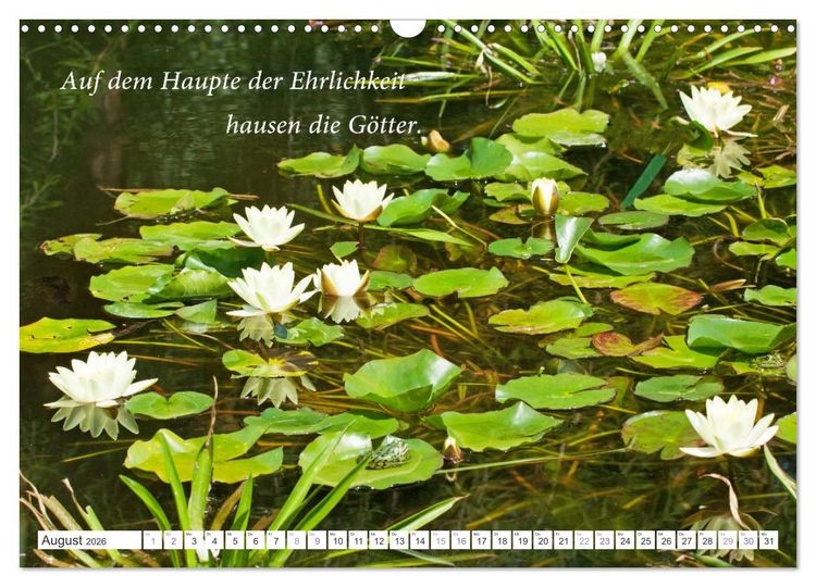 Produktbild: Stille. Japanische Gartenkunst und Weisheiten (Wandkalender 2026 DIN A3 quer), CALVENDO Monatskalender